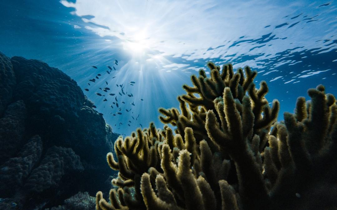 Historic treaty signed to protect the worlds oceans