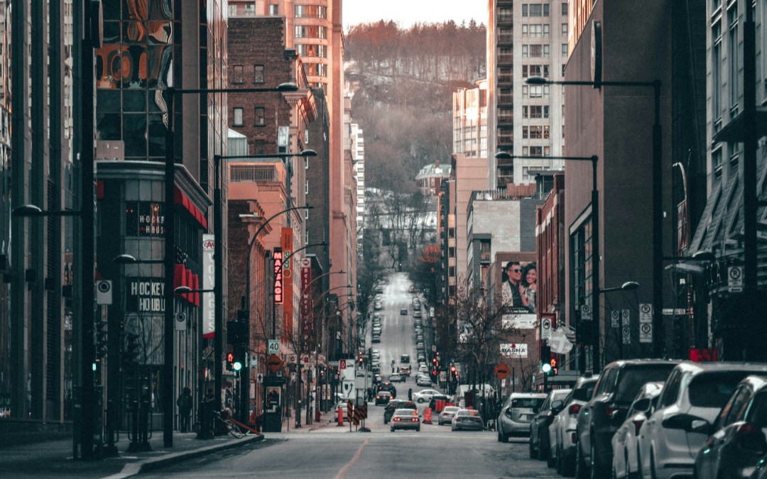 cars on street near high rise buildings