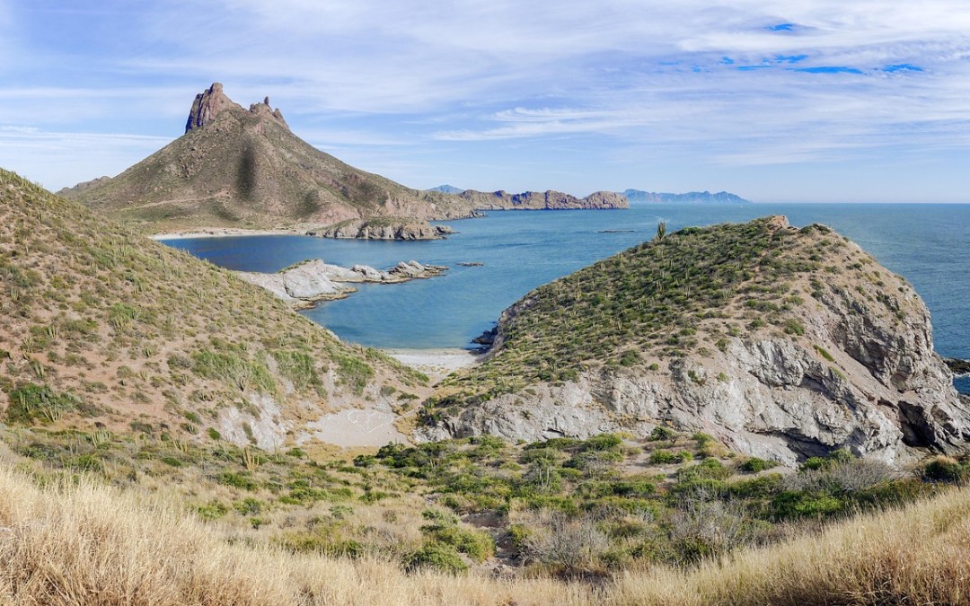 Foxconn to develop smart city solutions for Mexican state Sonora