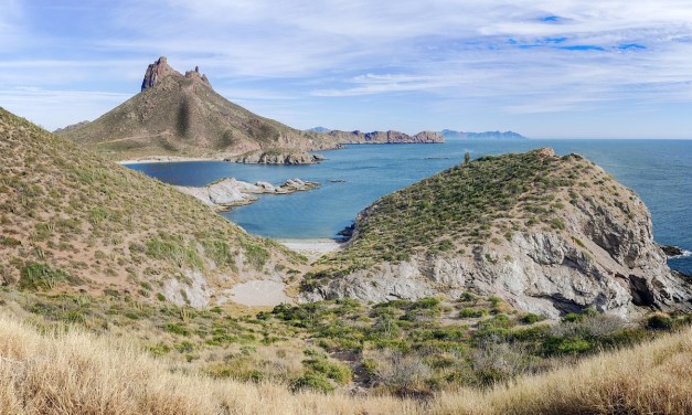 Foxconn to develop smart city solutions for Mexican state Sonora