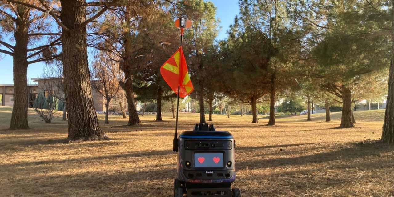 Are robots the key to a sustainable future?