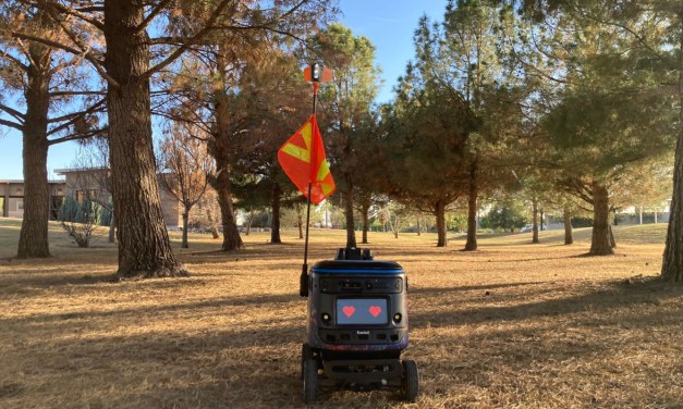 Are robots the key to a sustainable future?