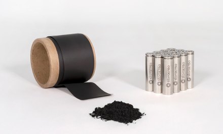 The future for electric vehicle batteries could be found in trees