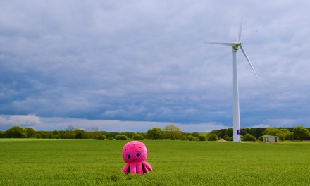 Octopus Energy to launch U.S’s first-ever Fan Club