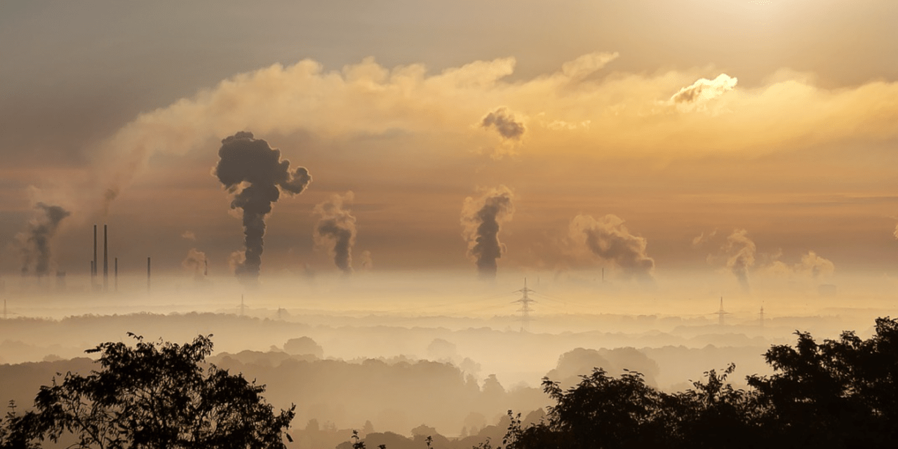 Vaisala introduce the Air Quality Forecast