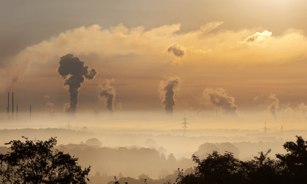 Vaisala introduce the Air Quality Forecast