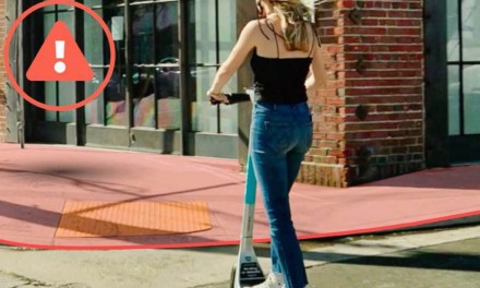 Pavements to be out of bounds for Bird’s e-riders