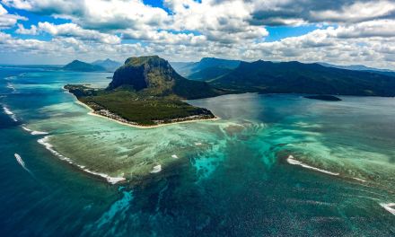 World Ocean Day 2023: The No Deep Seabed Mining Petition