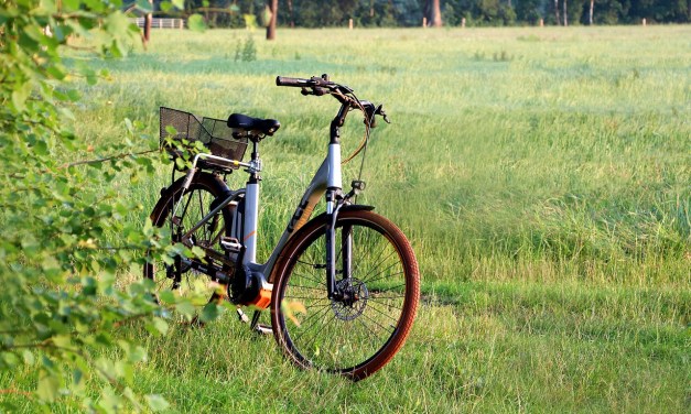 HOVSCO have announces the launch of their HovBeta 20” Step-Thru Foldable E-bike