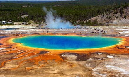Yellowstone use EVs to benefit National Park