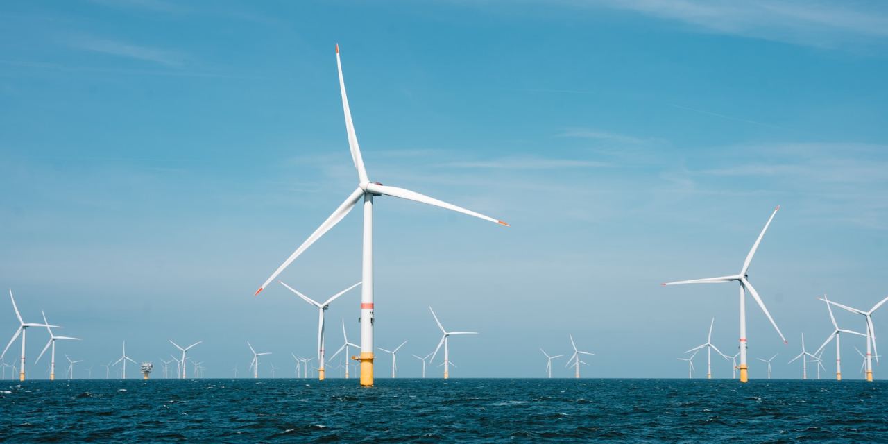 Anthesis to launch Anthesis Impact Tracker to help accelerate climate action