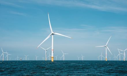 Anthesis to launch Anthesis Impact Tracker to help accelerate climate action