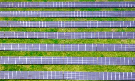 Dorset Solar farm to power London’s iconic landmarks