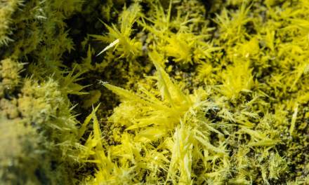 New battery tech promises “new dimension” for mobility