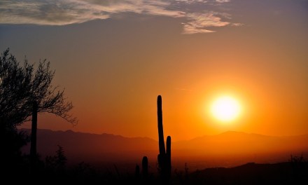 The state of Arizona has unveiled plans for the first stages of its electric vehicle infrastructure plan