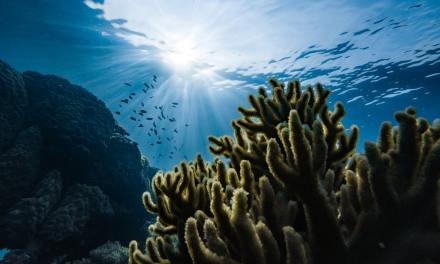 Historic treaty signed to protect the worlds oceans