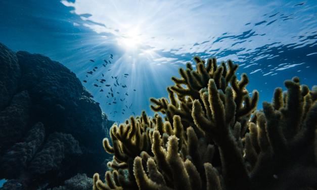 Historic treaty signed to protect the worlds oceans